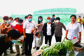 江村镇：特色农业产业链奏响致富交响曲图片