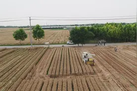 淄博：442名科技特派员定点帮扶474个省定贫困村图片