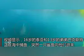 澳大利亚一对姐弟潜水捕鱼时遇鲨鱼袭击 幸运逃生图片