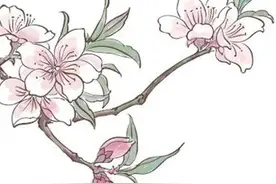 好文鉴赏丨福建人的修齐之道，藏在这小小的发髻里图片