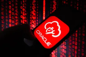 甲骨文公司泄露数十亿条网络数据记录图片