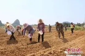 46个县摘帽后，广西又出大招助力最后8个贫困县脱贫图片