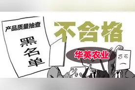 实锤！“世界鸭王”华英农业分公司鸡肉不合格 被检出禁药甲硝唑图片