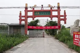 聊城度假区两位七旬老人再创业！承包60亩果园 两万斤熟果愁销路图片