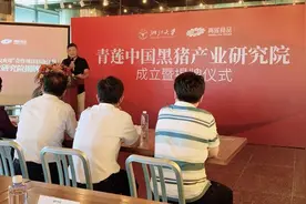 做大做强地方产业！中国黑猪产业研究院在海盐成立图片