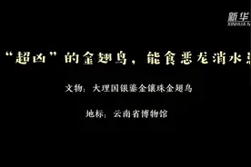 趣看文物：“超凶”的大理金翅鸟视频封面