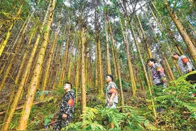三分钟读广西日报丨柳州市体育场馆降费为市民年省健身费用千万元图片
