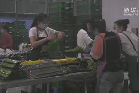 河北：全力保障北京“菜篮子”供应视频封面