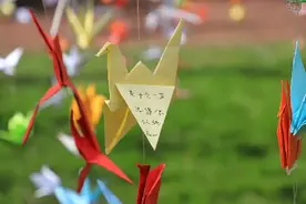 华中农大：万枚纸鹤成为毕业生的专属浪漫图片