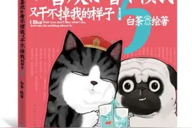 吾皇和巴扎黑的新故事：关注流浪猫的境遇图片