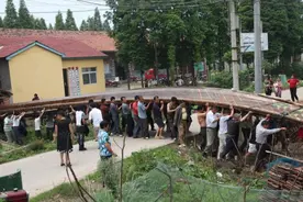 湖北端午习俗——洪湖凤舟图片