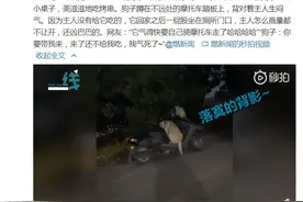 成精了！狗子吃不着烧烤生闷气 堵厕所门口就是不让开图片