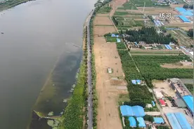 问政追踪丨临沂成立专班推进祊河左岸滨河大道工程 确保明年主汛期前建成图片