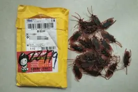 男子给老婆取快递，打开当场吓傻！花圈、百只蟑螂……图片