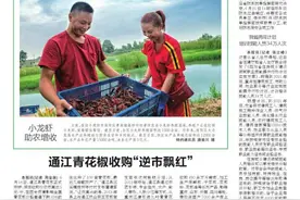 小龙虾助农增收图片