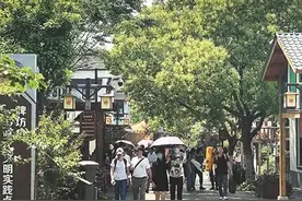 城乡融合促全域乡村振兴 来看南京江宁示范了什么图片