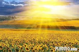 散文｜张楠：虚惊一场图片