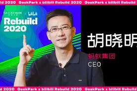 蚂蚁集团CEO胡晓明：数字化时代 一个人就是一家公司图片