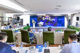 中国诚通召开资产经营2.0模式研究报告评审会图片