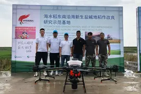 大疆植保无人机播种“海水稻”：1分钟1亩地，每亩节省数百元图片