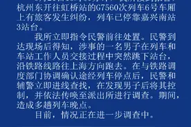 男子在高铁嘉兴站突然跳下站台造成多趟列车晚点，被警方控制图片