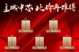18555元/㎡！市中心纯新盘价格曝光，即将首开图片