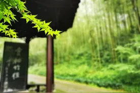 登山爱好者大雨中用手机拍出一组大片：雨中西湖群山让人怦然心动图片