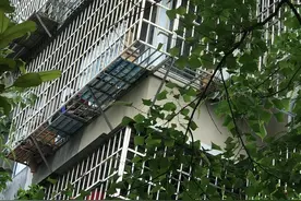 楼上小伙养蜜蜂吓得楼下老人不敢开窗，警察上门劝小伙，他还很激动图片