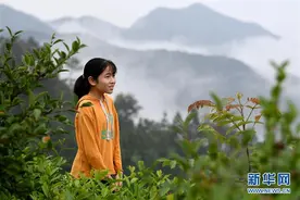大山女孩：梦想不曾“弯腰”图片