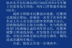 浙江一男子高铁站突然跳下站台奔跑，致多列车晚点！已被警方控制图片