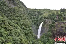 “两山”转化看浙江龙泉路径：山水林田间觅美好生活图片