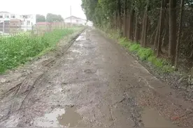 【“决胜全面小康”之看看我家门前的那条最美乡村路】上海有一片“世外桃源”，它的前世今生你知道吗图片