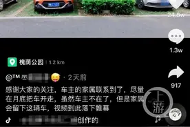 湖北槐荫公园一车主抗疫后死亡？车主：我还活着；拍摄者：我瞎编的图片