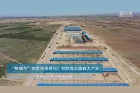 “熊猫色”的羊你见过吗？它的背后藏有大产业！视频封面
