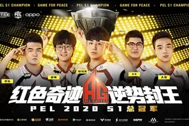 AG战队捧得桂冠，2020PEL和平精英职业联赛S1赛季圆满收官图片
