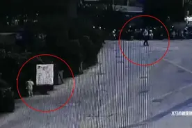 捏一把汗，2岁小男孩独自穿梭市区马路！图片