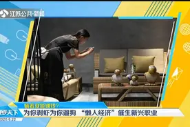 躺着就能赚钱？“懒人经济”催生新兴职业，月入5万不成问题视频封面
