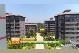 韩城市芝川镇：大葫芦 小葫芦 脱贫增收的“宝葫芦”图片