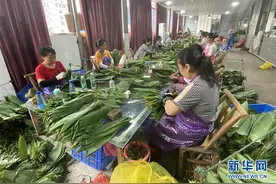 小小粽叶成为武陵山区群众的“幸福叶”图片