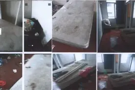 杭州95后姑娘带2条贵宾犬租房！3个月后，房内传来一股恶臭图片