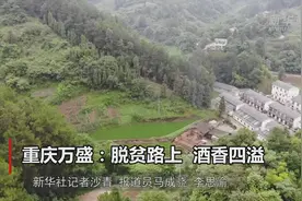 重庆万盛：脱贫路上 酒香四溢视频封面