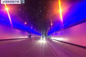 澳大利亚首条视觉景观隧道落成 当地民众对此褒贬不一图片