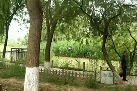 兰州银滩湿地公园：在这里能24小时邂逅江南的婉约风光......图片