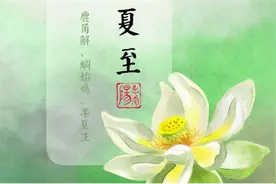 二十四节气养生——夏至图片