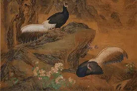 科普 | 《火鸡图》中的褐马鸡图片