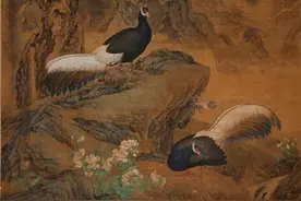 科普 | 《火鸡图》中的褐马鸡图片
