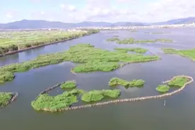 告急！河流断流、塘坝干涸、水库见底...云南遭遇十年来最严重旱情图片