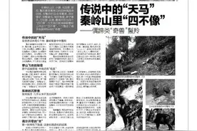 它世界第378期 传说中的“天马”秦岭山里“四不像”——偶蹄类“奇兽”鬣羚图片