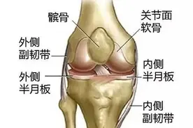最新《膝盖使用说明书》，再不看就晚了图片