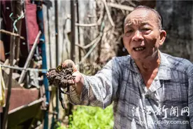 “蚯”得致富经“蚓”出环保计图片